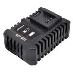 Cargador de 20v Gamma 4000 mAh
