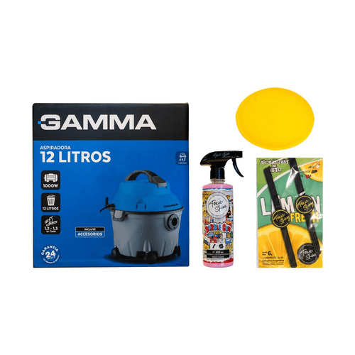 Kit Limpieza Auto: Aspiradora 12L + Aromatizante + Aplicadores
